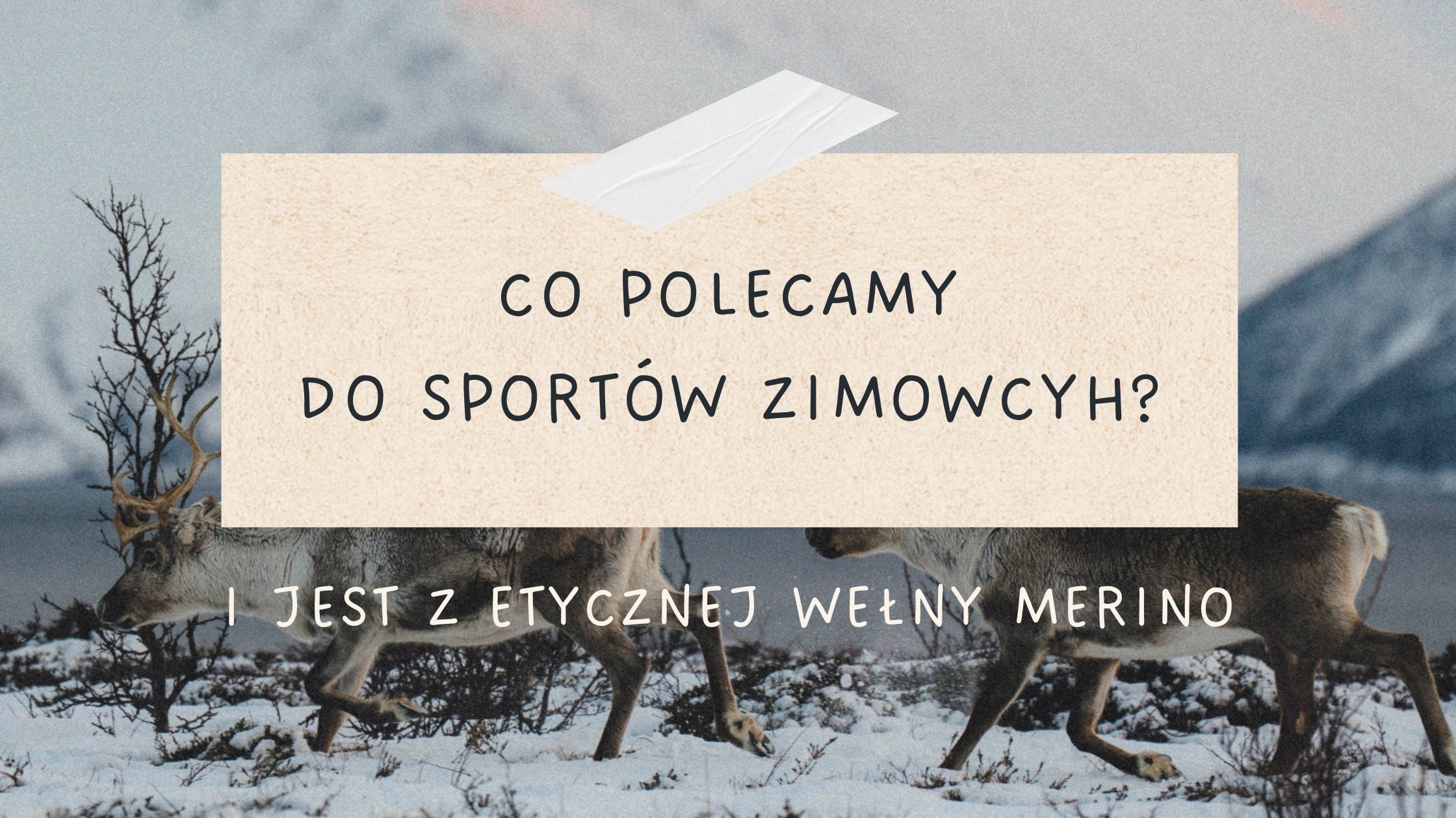 Co zabrać w góry zimą? Prosty przewodnik po cieple, wygodzie i layeringu